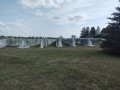 IMG_20210804_155118752