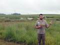 Bear-Creek-wetland