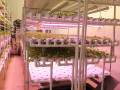 Clayton-farm-operation